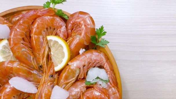 Raw Red Prawn Frozen Shrimp Ice Cubes Fresh Lemon Parsley — Stock Video