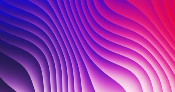 Сирень Фиолетовые Волны Бесшовная Анимация Trend Color Line Art Light — стоковое видео