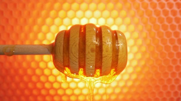 Honey Stirring Honeycomb Background Healthy Organic Food Concept — Stock Video