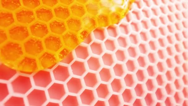 ミツバチと蜂蜜が流れています 健康食品コンセプト — ストック動画