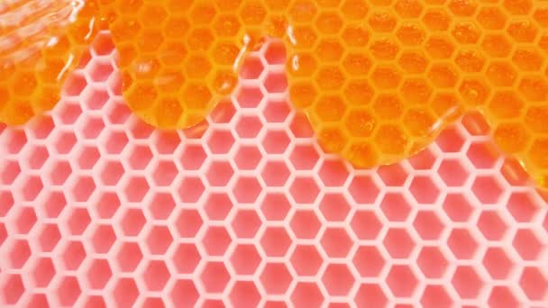ハニカムと蜂蜜が流れています 人工蜂蜜生産コンセプト — ストック動画