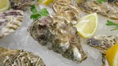 Limonlu ve buzlu yarı açık istiridye. Tabakta taze deniz ürünleri