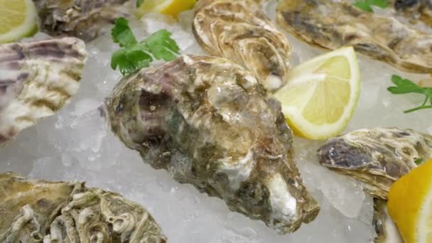 Halb Offene Austern Mit Zitrone Und Eis Frische Meeresfrüchte Auf — Stockvideo
