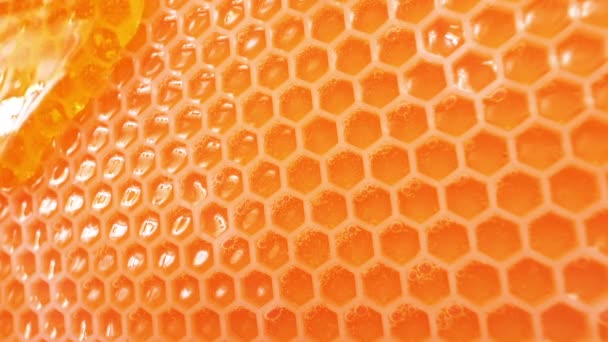 蜂蜜在蜂窝蜡上流动 有完整的细胞 近距离观察 — 图库视频影像