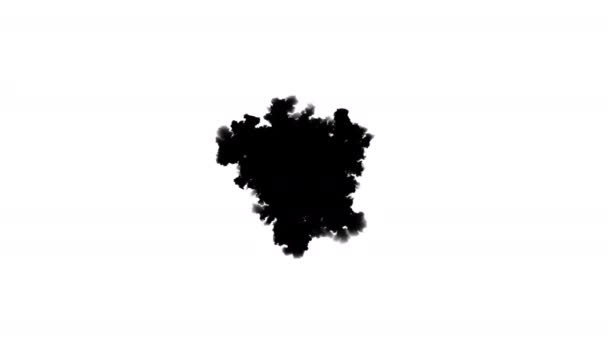 Difusión Una Pintura Negra Canal Alfa Una Gota Tinta Absorbe — Vídeo de stock