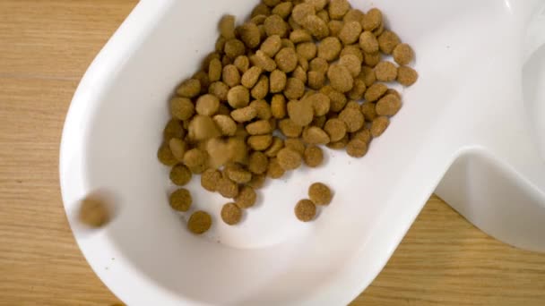 Comida Para Mascotas Porción Comida Seca Que Cae Tazón Blanco — Vídeos de Stock