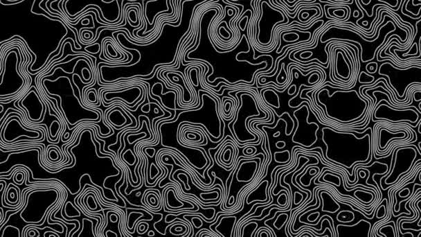 抽象的なトポグラフィックの輪郭 白い線を移動する シームレスにループされたモーション背景 — ストック動画