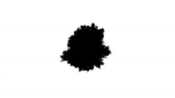 Чернильное Пятно Распространяется Центра Капля Черной Краски Заполняет Экран — стоковое видео