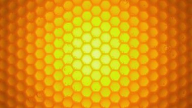 Arı balı bal peteğinden aşağı akar. Diyet, sağlıklı yeme konsepti