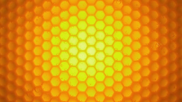 Μέλισσα Μέλι Ρέει Κάτω Από Μια Κυψέλη Μέλισσα Διατροφή Υγιεινή — Αρχείο Βίντεο