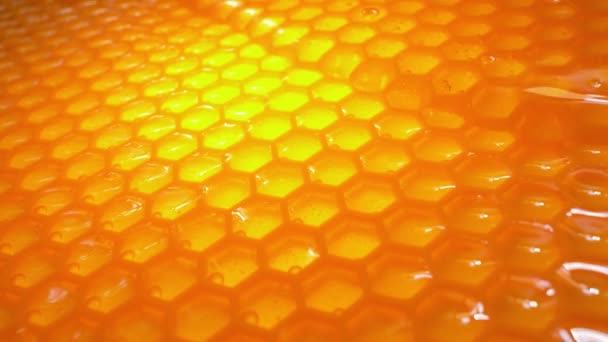Raw Honey Flows Honeycomb Dieting Healthy Eating Concept — Stock Video