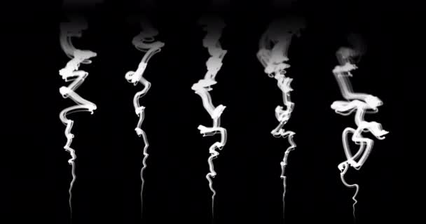 Švestka Hustého Bílého Kouře Izolovaná Černém Pozadí Sada Různých Typů — Stock video