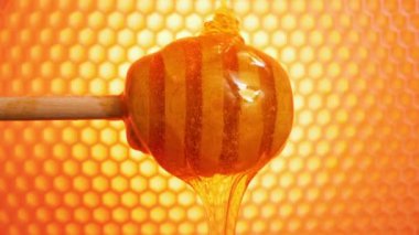 Bal ve bal peteği. Arı balı, ahşap bir çubukta aşağı akıyor, yakın çekim manzarası.