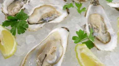 Buzlu taze istiridye. Limonlu yarı açık yumuşakçalar, üstten manzara