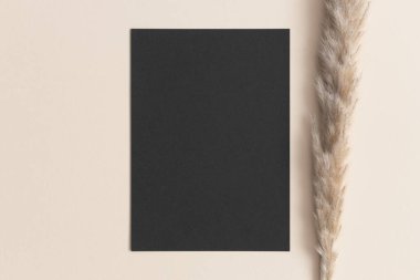 Bej masasında pampa olan siyah davetiye maketi. 5x7 oranı, A6, A5 'e benziyor..