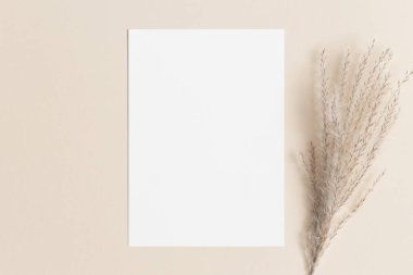 Beyaz davetiye, bej masasında kurutulmuş sazlık pampa resmi. 5x7 oranı, A6, A5 'e benziyor..