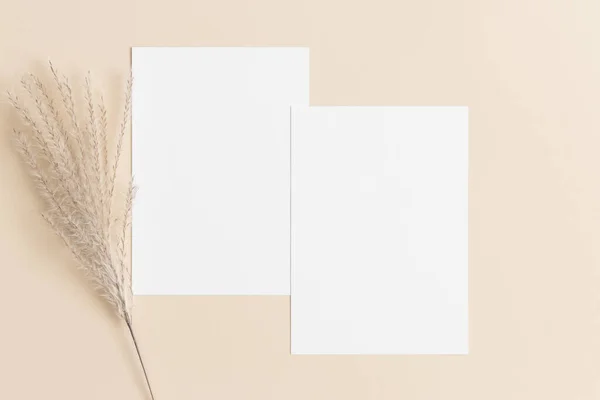 Dois Cartões Convite Brancos Mockup Com Uma Decoração Palheta Pampas — Fotografia de Stock