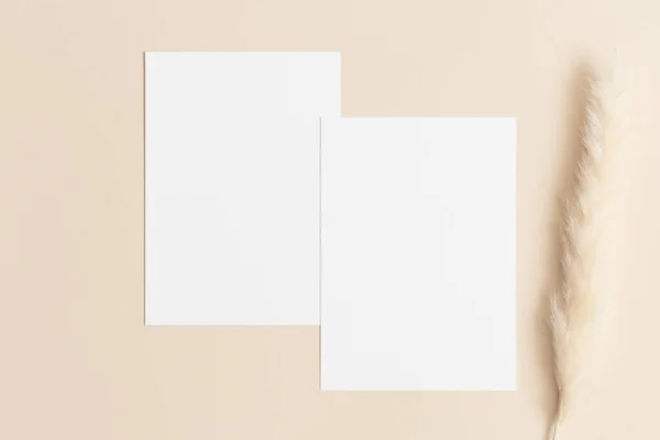 Dos Tarjetas Invitación Blancas Maquetas Con Una Decoración Pampeana Mesa — Foto de Stock