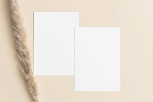 Dos Tarjetas Invitación Blancas Maquetas Con Una Decoración Pampeana Mesa — Foto de Stock