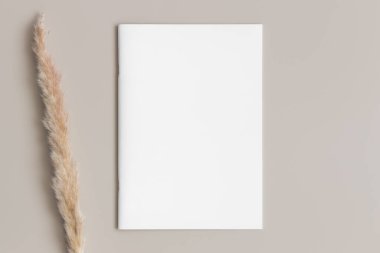 Bej masasında pampa olan dergi modeli..