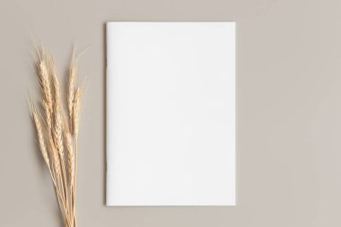 Bej masasının üzerinde kuru bir çiçek olan dergi modeli..