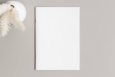 Bej masasında vazo içinde pampa olan dergi modeli..