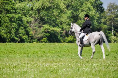 Binici jokey at üstünde zarif arka at sergisinden
