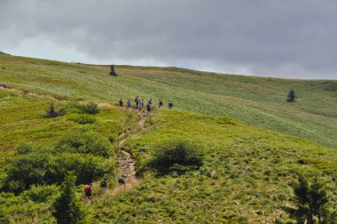 beautiful mountain landscape in the Bieszczady National Park; Bieszczady Mountains sunny day