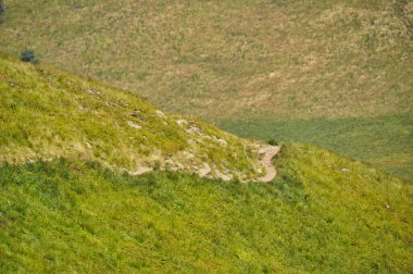 beautiful mountain landscape in the Bieszczady National Park; Bieszczady Mountains sunny day