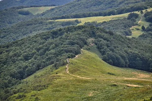 beautiful mountain landscape in the Bieszczady National Park; Bieszczady Mountains sunny day