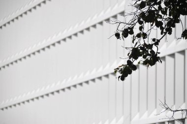 modern white building exterior symetric windows in a row modern architecture in Warsaw Poland tree bunch