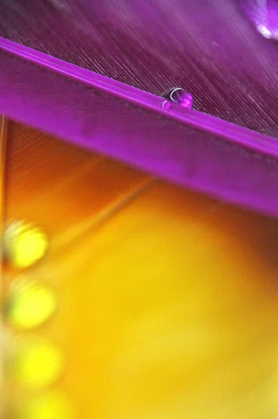 Waterdruppels Kleurrijke Geverfde Eendenveren Close Dauw — Stockfoto