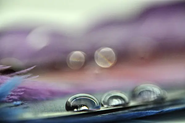 이슬에 색깔의 물방울 — 스톡 사진
