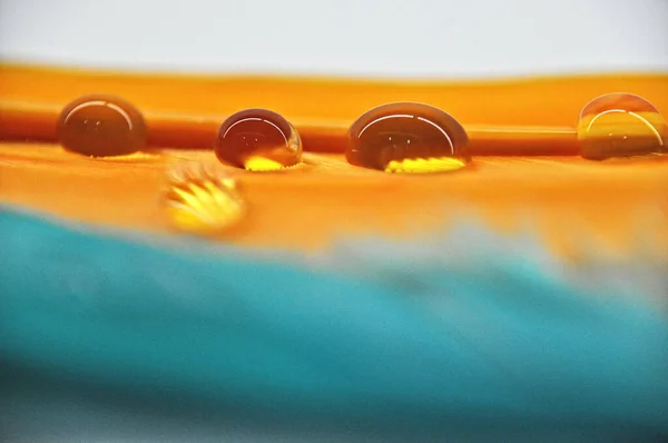 Renkli Ördek Tüylerinin Üzerindeki Damlacıkları Çiy Tanesine Yakın — Stok fotoğraf