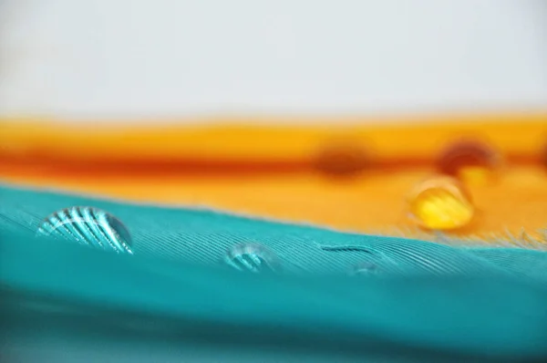 Water Droplets Colorful Dyed Duck Feathers Close Dew — Stock Photo, Image