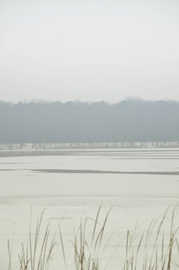 Polonya 'da göle bakan kış manzarası, karla kaplı, cennet gibi bir atmosfer.