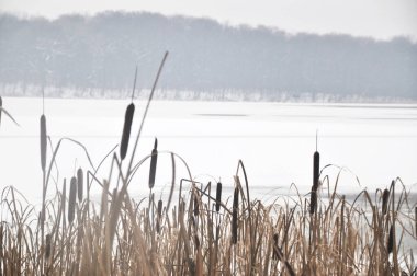 Polonya 'da göle bakan kış manzarası, karla kaplı, cennet gibi bir atmosfer.