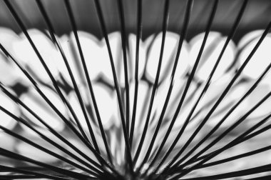 Siyah beyaz soyutlama ile aydınlatılmış ince bir kabloyu yakın çekim makrosu