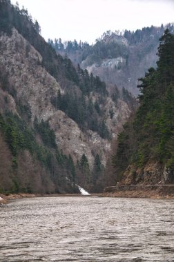 Kış boyunca dağlardaki Dunajec Nehri 'nin orman kıyısı.