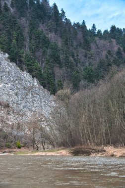 Kış boyunca dağlardaki Dunajec Nehri 'nin orman kıyısı.