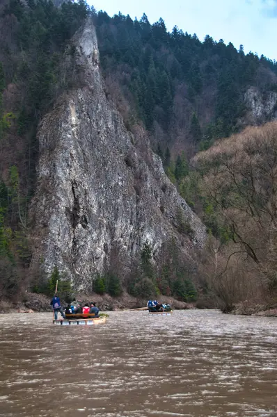 Kış boyunca dağlardaki Dunajec Nehri 'nin orman kıyısı.