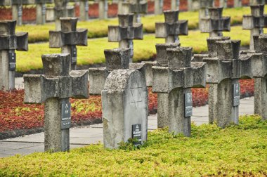 Tarihi mezarlıkta sıra sıra beton haçlar.