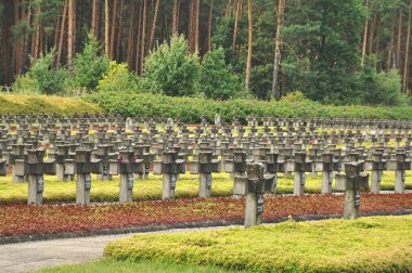 Tarihi mezarlıkta sıra sıra beton haçlar.