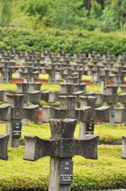 Tarihi mezarlıkta sıra sıra beton haçlar.