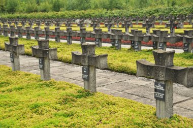 Tarihi mezarlıkta sıra sıra beton haçlar.