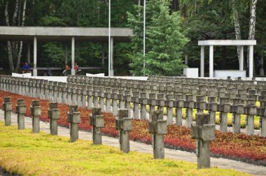 Tarihi mezarlıkta sıra sıra beton haçlar.