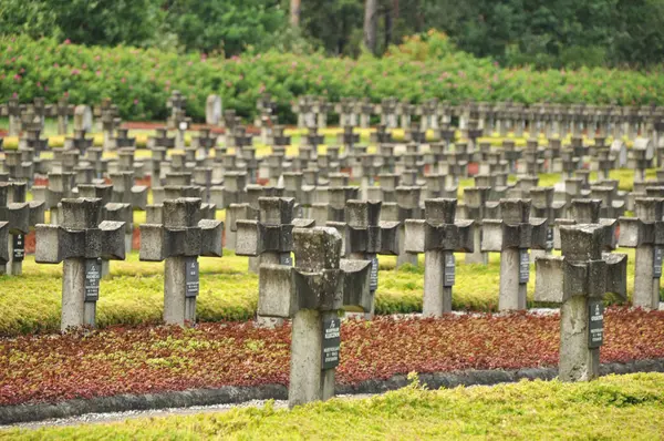 Tarihi mezarlıkta sıra sıra beton haçlar.