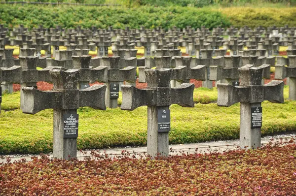 Tarihi mezarlıkta sıra sıra beton haçlar.
