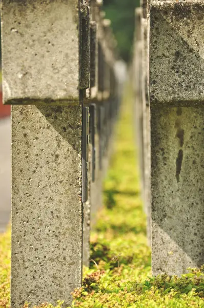 Tarihi mezarlıkta sıra sıra beton haçlar.