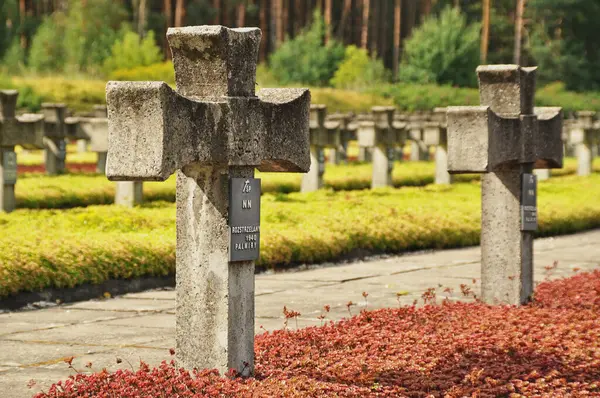 Tarihi mezarlıkta sıra sıra beton haçlar.